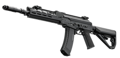ARCTURUS - AK74 Custom FE Arcturus